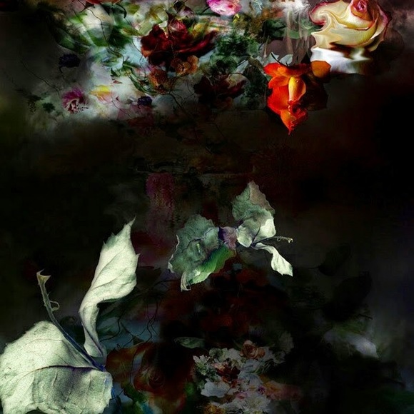 Meet your Posher, Jade - Picture 1 of 1